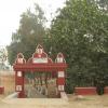 Way To Patulia Kali Mata Temple in Uttar Satali  , Jalpaiguri